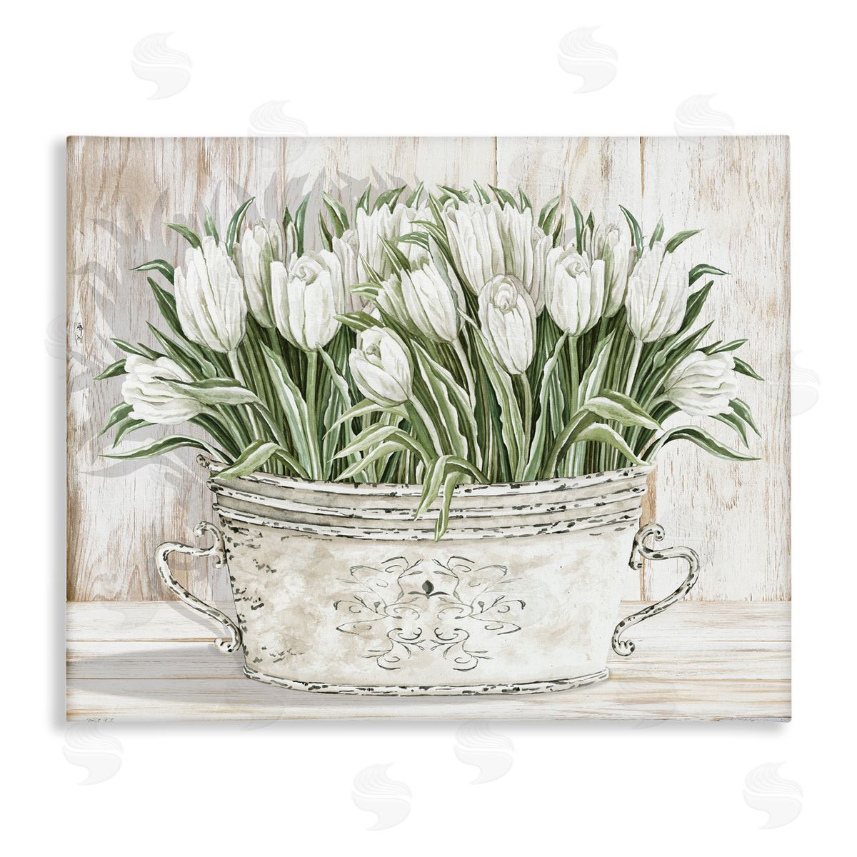 Fresh White Tulip Flowers Vintage Canvas Wall Art, Home Decor by Cindy Jacobs
