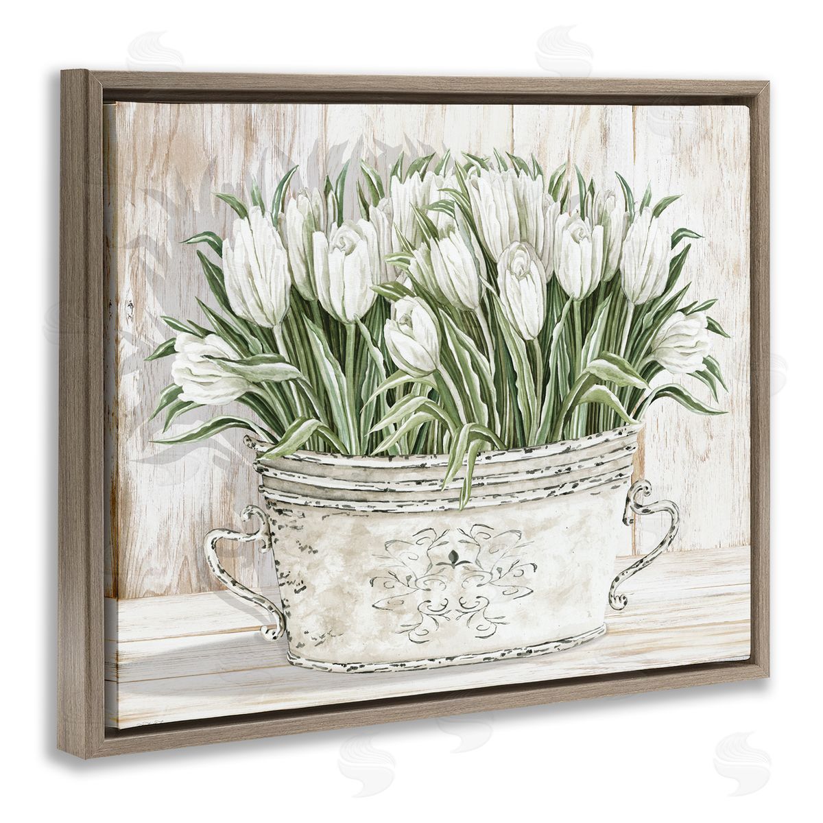 Fresh White Tulip Flowers Vintage Brown Floating Frame Canvas Wall Art, Home Decor by Cindy Jacobs