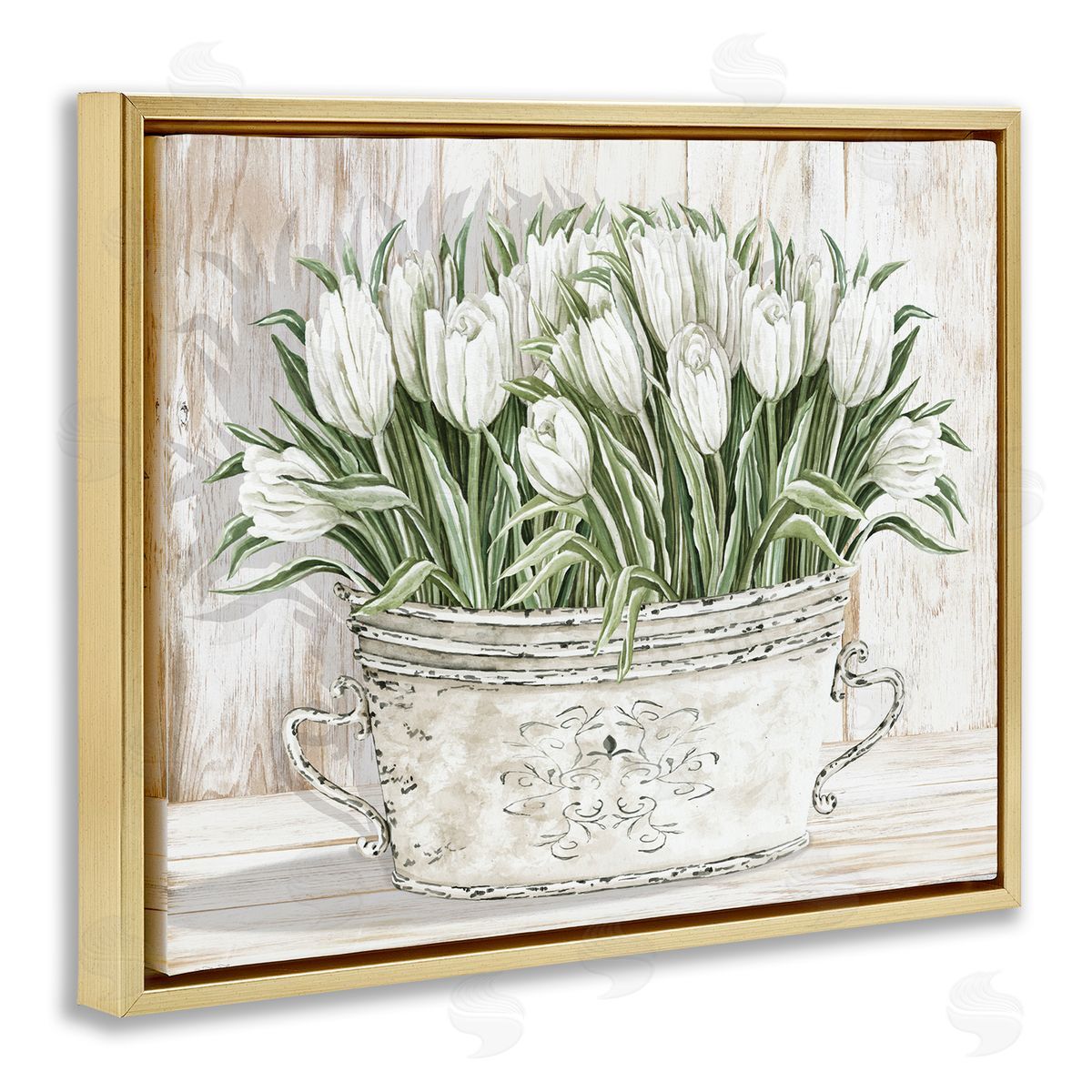 Fresh White Tulip Flowers Vintage Gold Floating Frame Canvas Wall Art, Home Decor by Cindy Jacobs