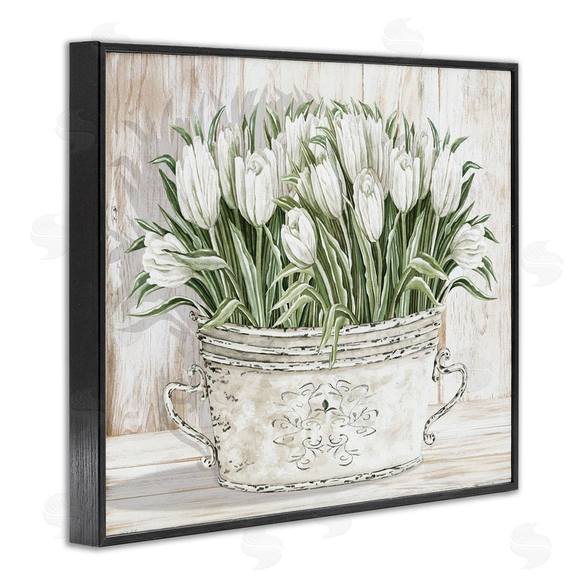 Cindy Jacobs | Fresh White Tulip Flowers Vintage