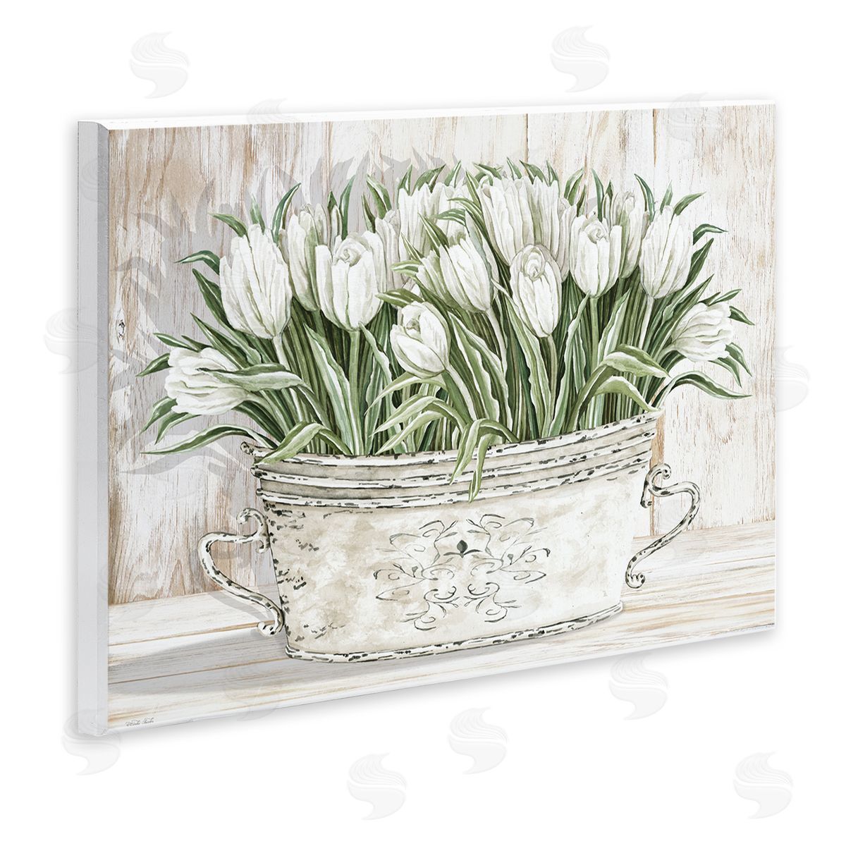Fresh White Tulip Flowers Vintage Wood Plaque Wall Art, Home Decor by Cindy Jacobs