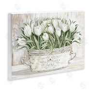 Cindy Jacobs | Fresh White Tulip Flowers Vintage