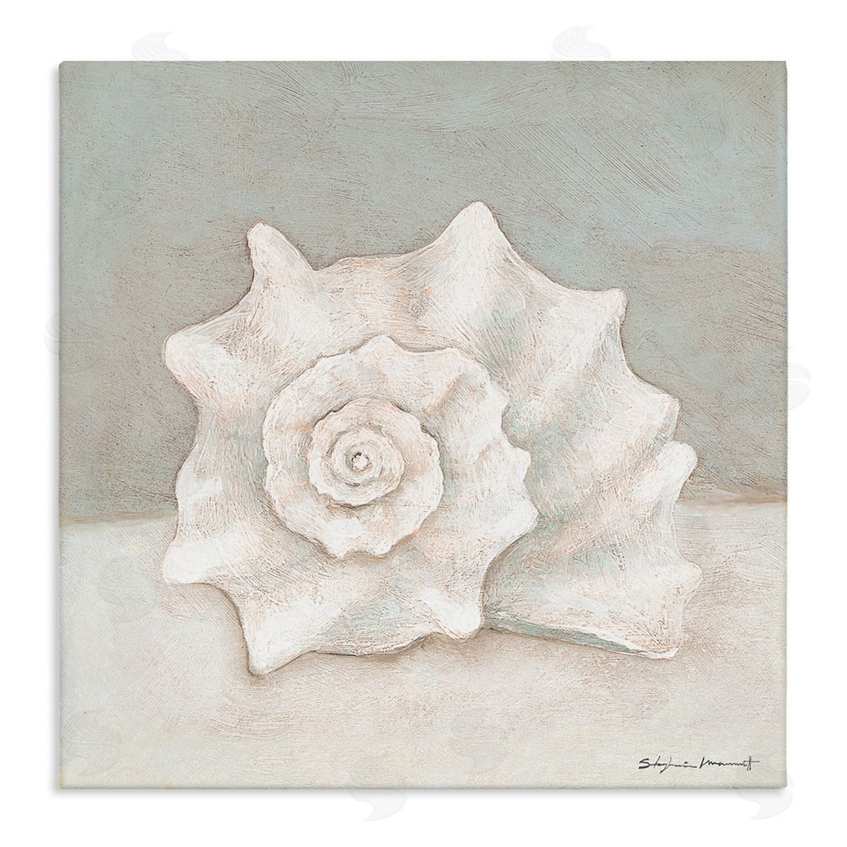 Stephanie Workman Marrott Conch Shell Minimal Beige Grey Seashell Nautical Animal Stretched Canvas Wall Art Print