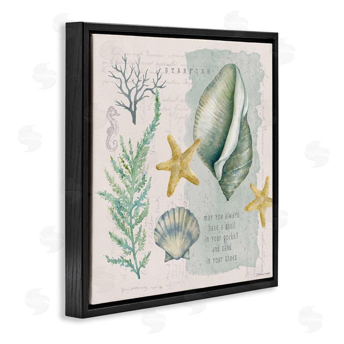 Stephanie Workman Marrott Shell in Pocket Sand In Shoes Beach Quote Black Floating Frame Canvas Wall Art Print