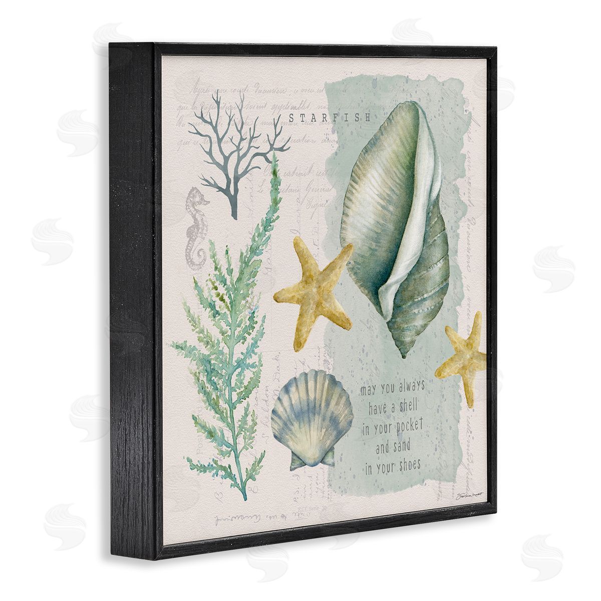 Stephanie Workman Marrott Shell in Pocket Sand In Shoes Beach Quote Black Framed Glicee Wall Art Print