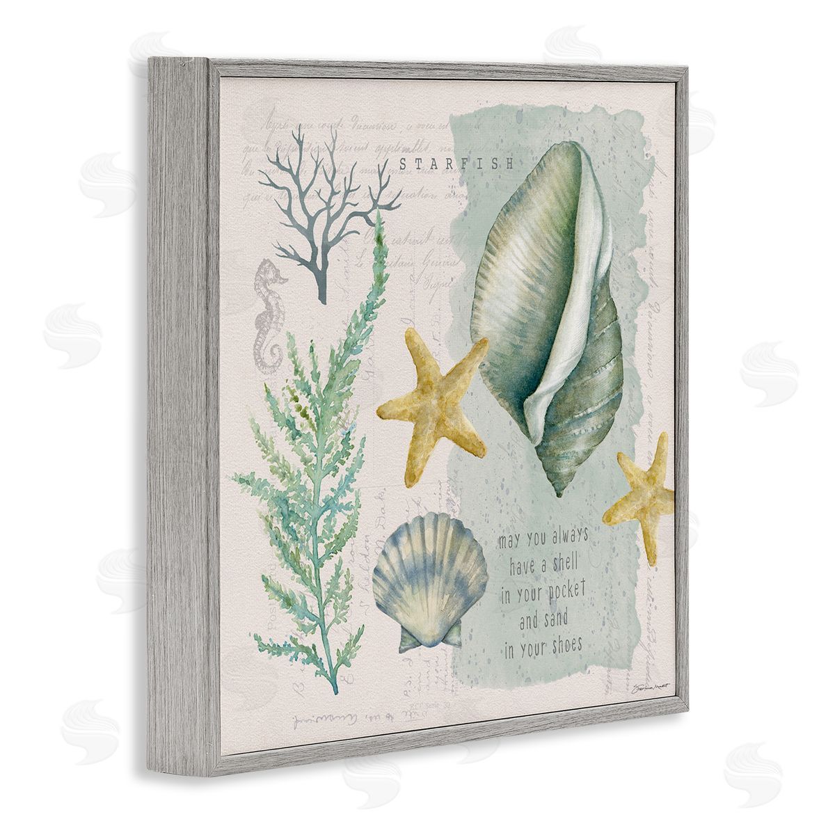 Stephanie Workman Marrott Shell in Pocket Sand In Shoes Beach Quote Gray Framed Glicee Wall Art Print