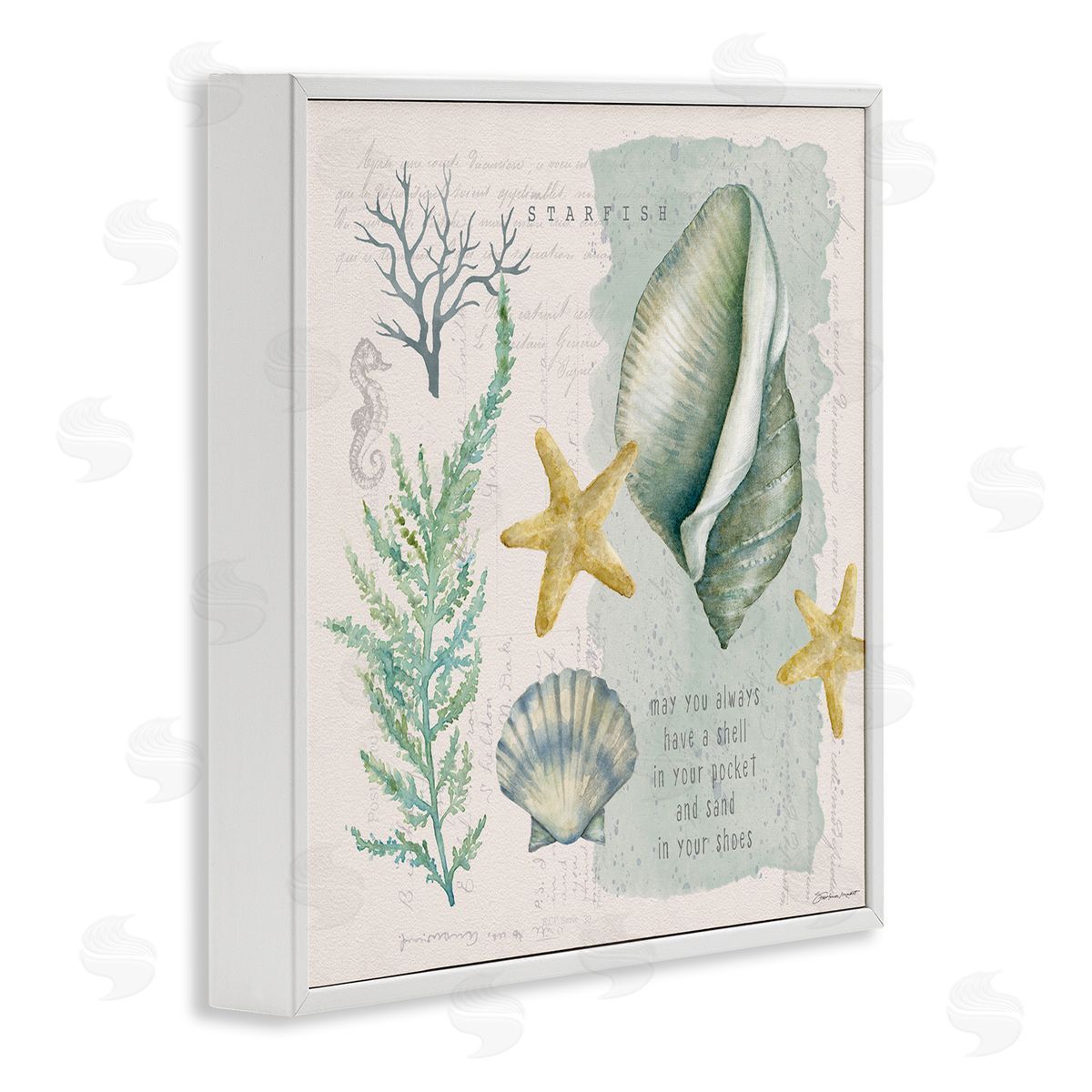 Stephanie Workman Marrott Shell in Pocket Sand In Shoes Beach Quote White Framed Glicee Wall Art Print