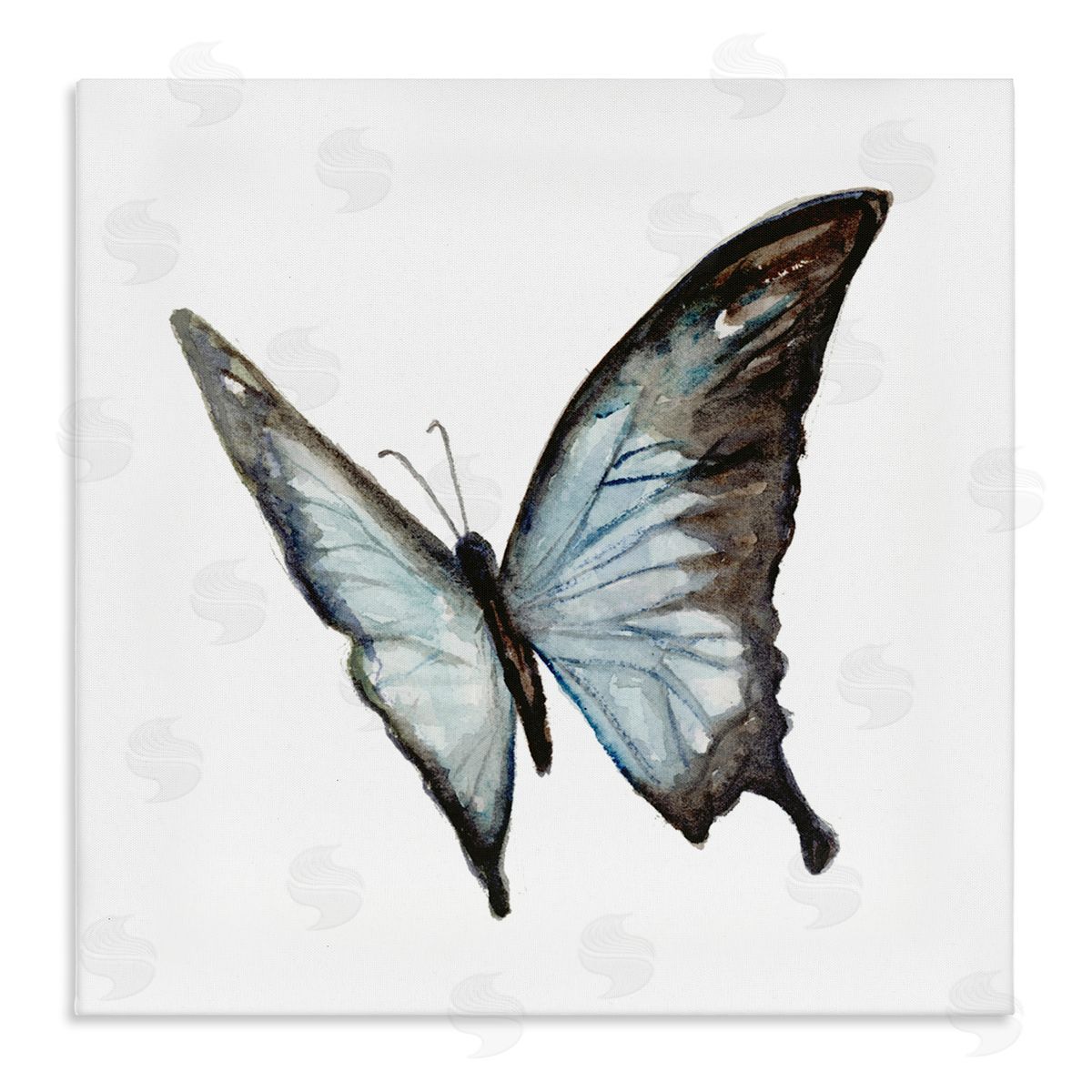 Fox Hollow Studios Ulysses Butterfly Children's Nursery Insect Watercolor Painting Stretched Canvas Wall Art Print