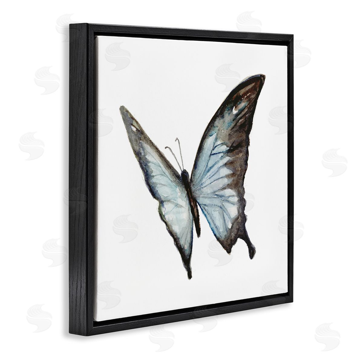 Fox Hollow Studios Ulysses Butterfly Children's Nursery Insect Watercolor Painting Black Floating Frame Canvas Wall Art Print