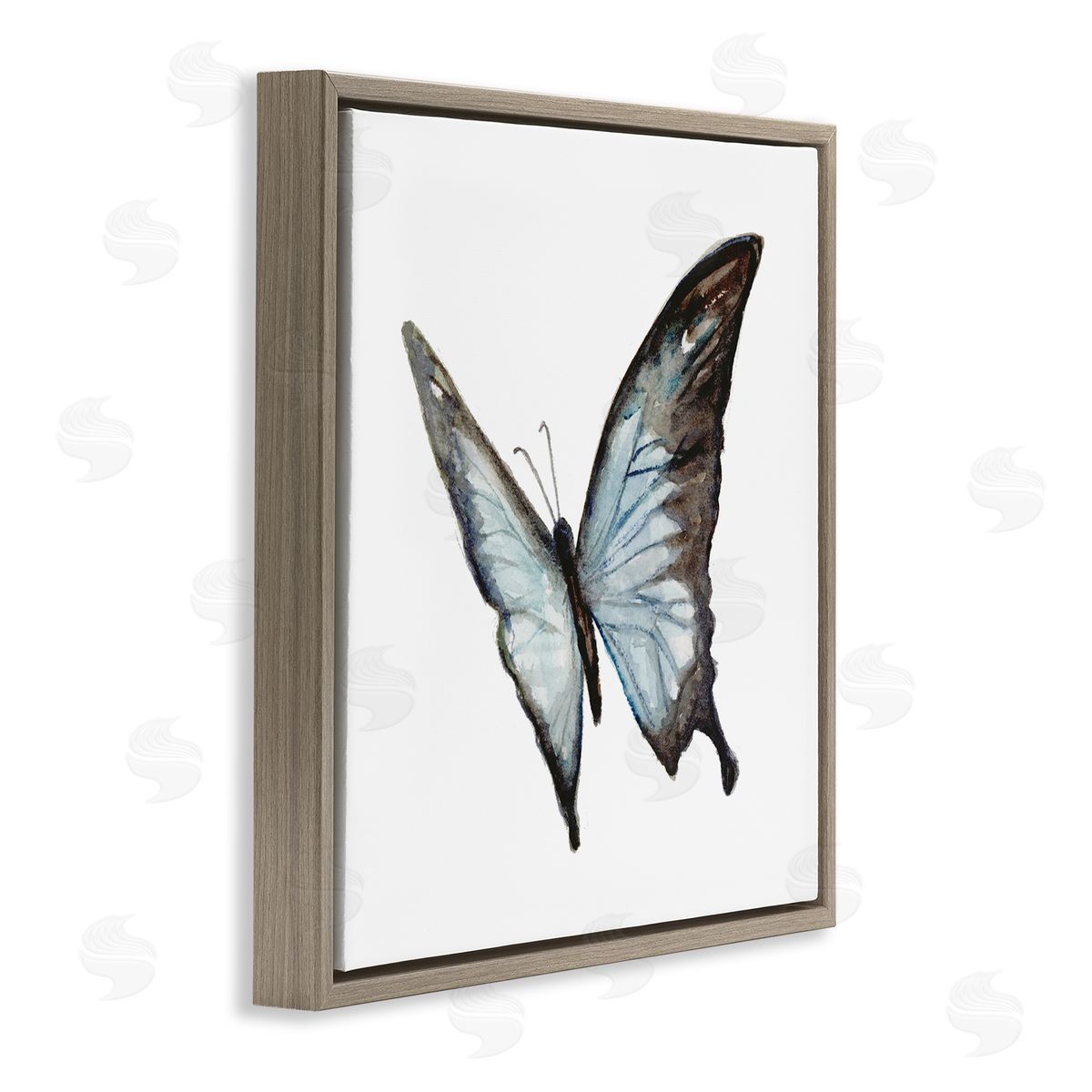 Fox Hollow Studios Ulysses Butterfly Children's Nursery Insect Watercolor Painting Brown Floating Frame Canvas Wall Art Print