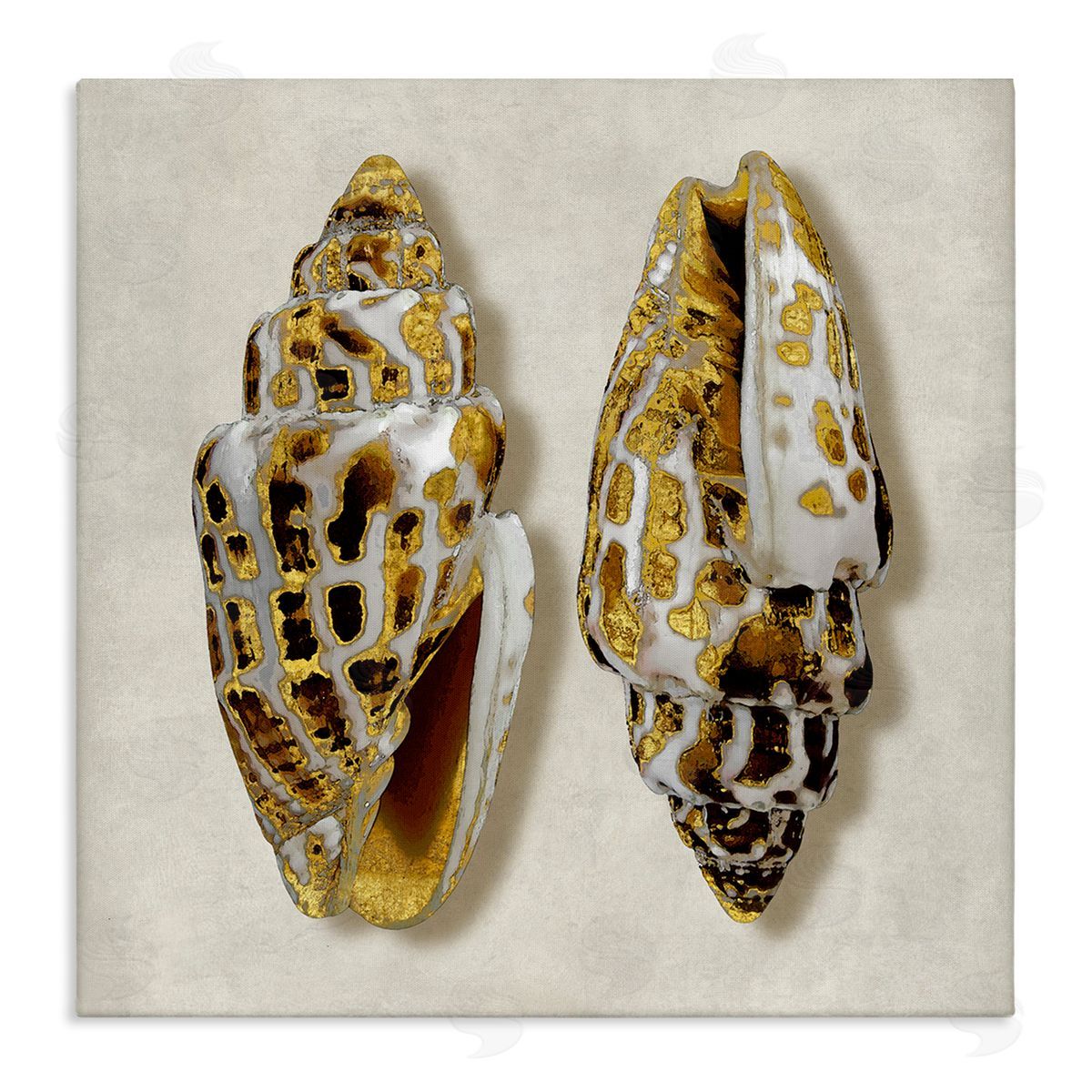 Caroline Kelly Speckled Conch Seashell Neutral Tone Sea Life Stretched Canvas Wall Art Print