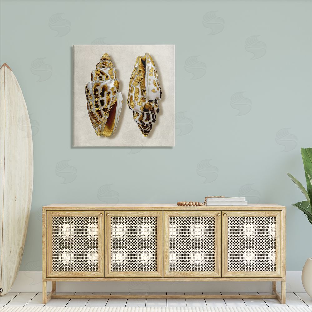 Caroline Kelly Speckled Conch Seashell Neutral Tone Sea Life Canvas Wall Art in Room