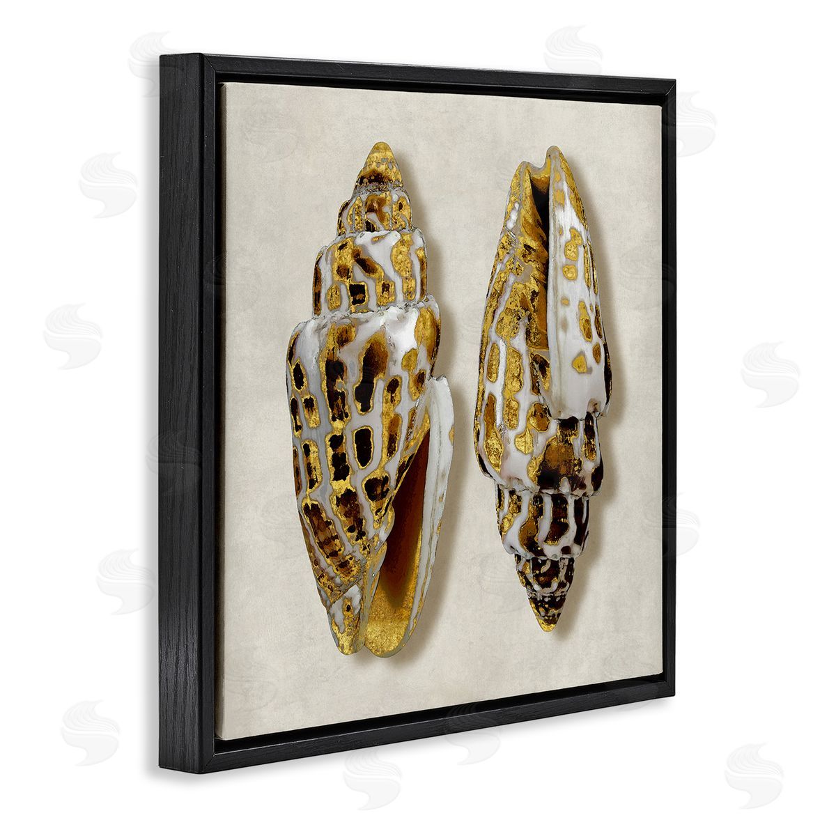 Caroline Kelly Speckled Conch Seashell Neutral Tone Sea Life Black Floating Frame Canvas Wall Art Print