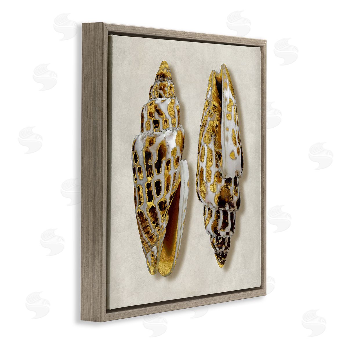 Caroline Kelly Speckled Conch Seashell Neutral Tone Sea Life Brown Floating Frame Canvas Wall Art Print