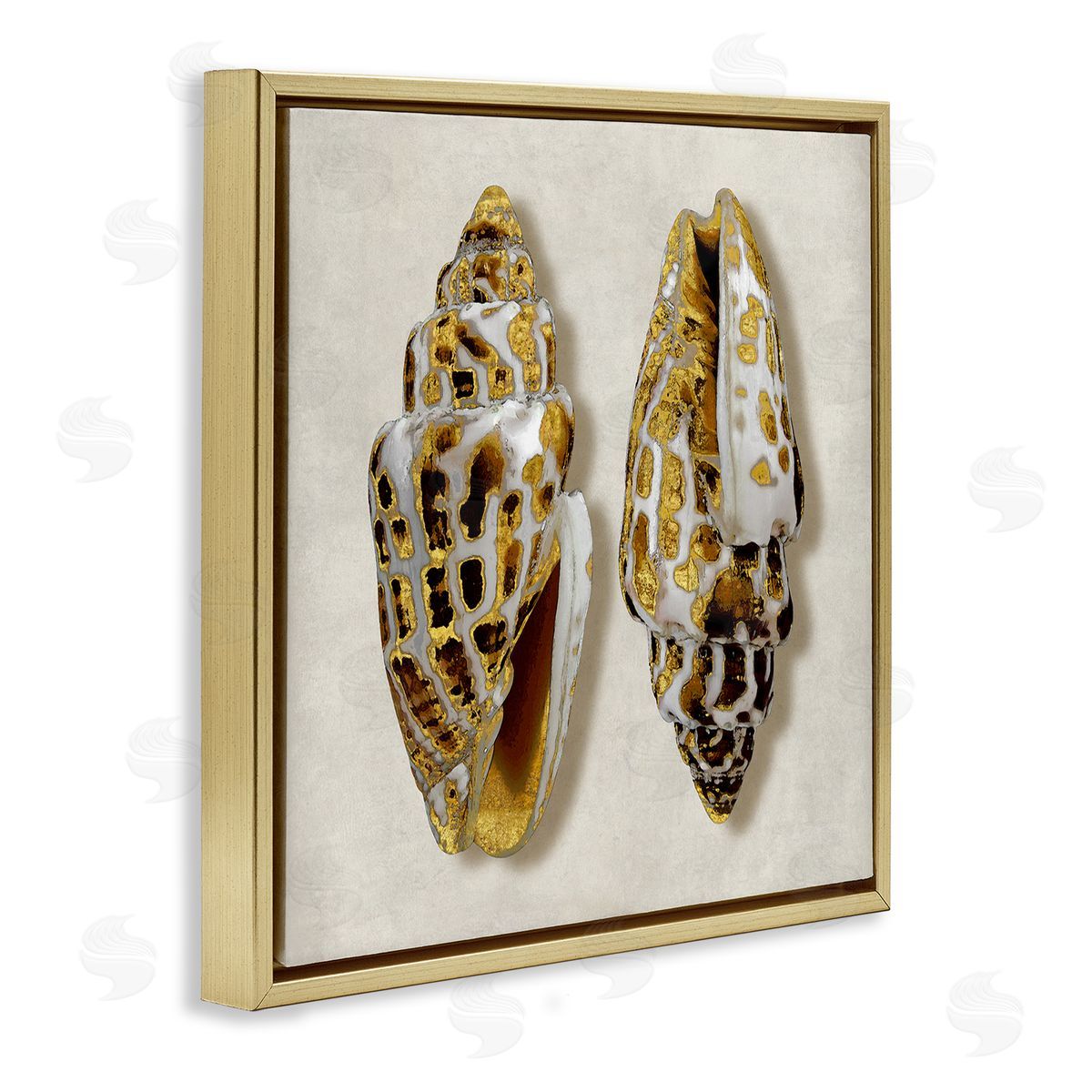 Caroline Kelly Speckled Conch Seashell Neutral Tone Sea Life Gold Floating Frame Canvas Wall Art Print