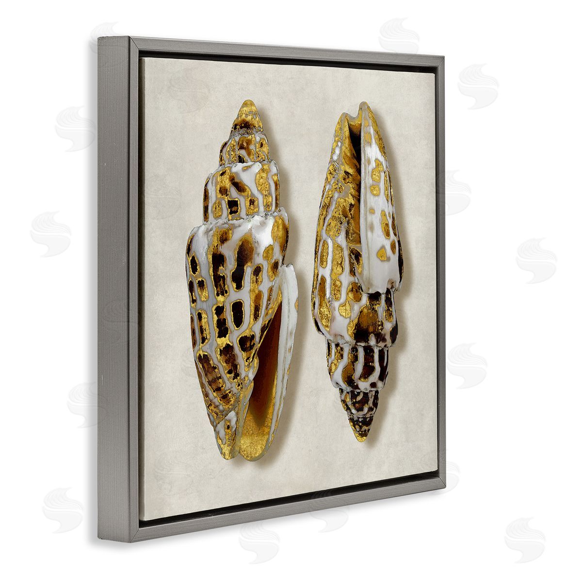 Caroline Kelly Speckled Conch Seashell Neutral Tone Sea Life Gray Floating Frame Canvas Wall Art Print
