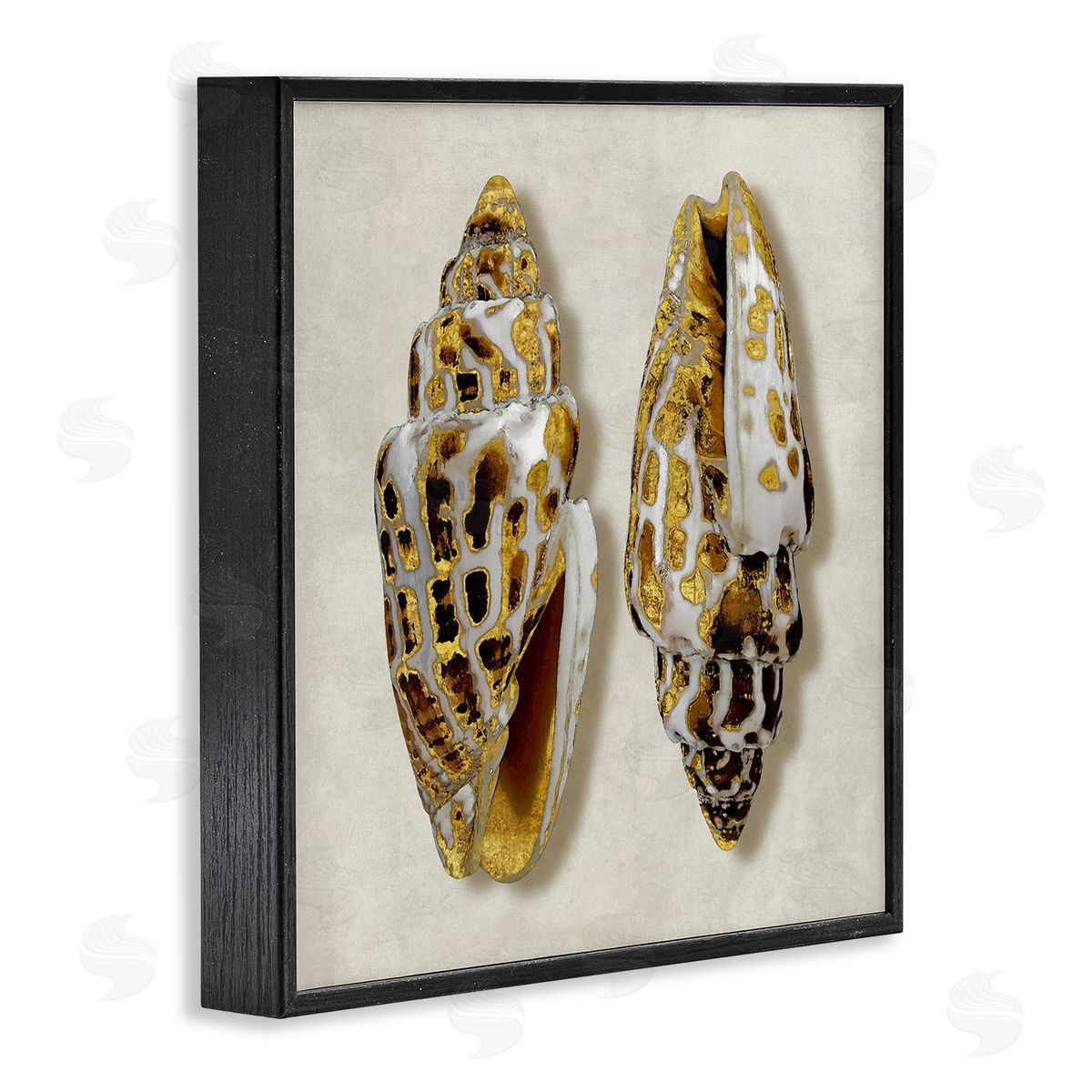 Caroline Kelly Speckled Conch Seashell Neutral Tone Sea Life Black Framed Glicee Wall Art Print