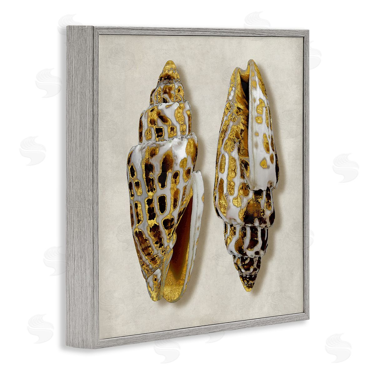 Caroline Kelly Speckled Conch Seashell Neutral Tone Sea Life Gray Framed Glicee Wall Art Print