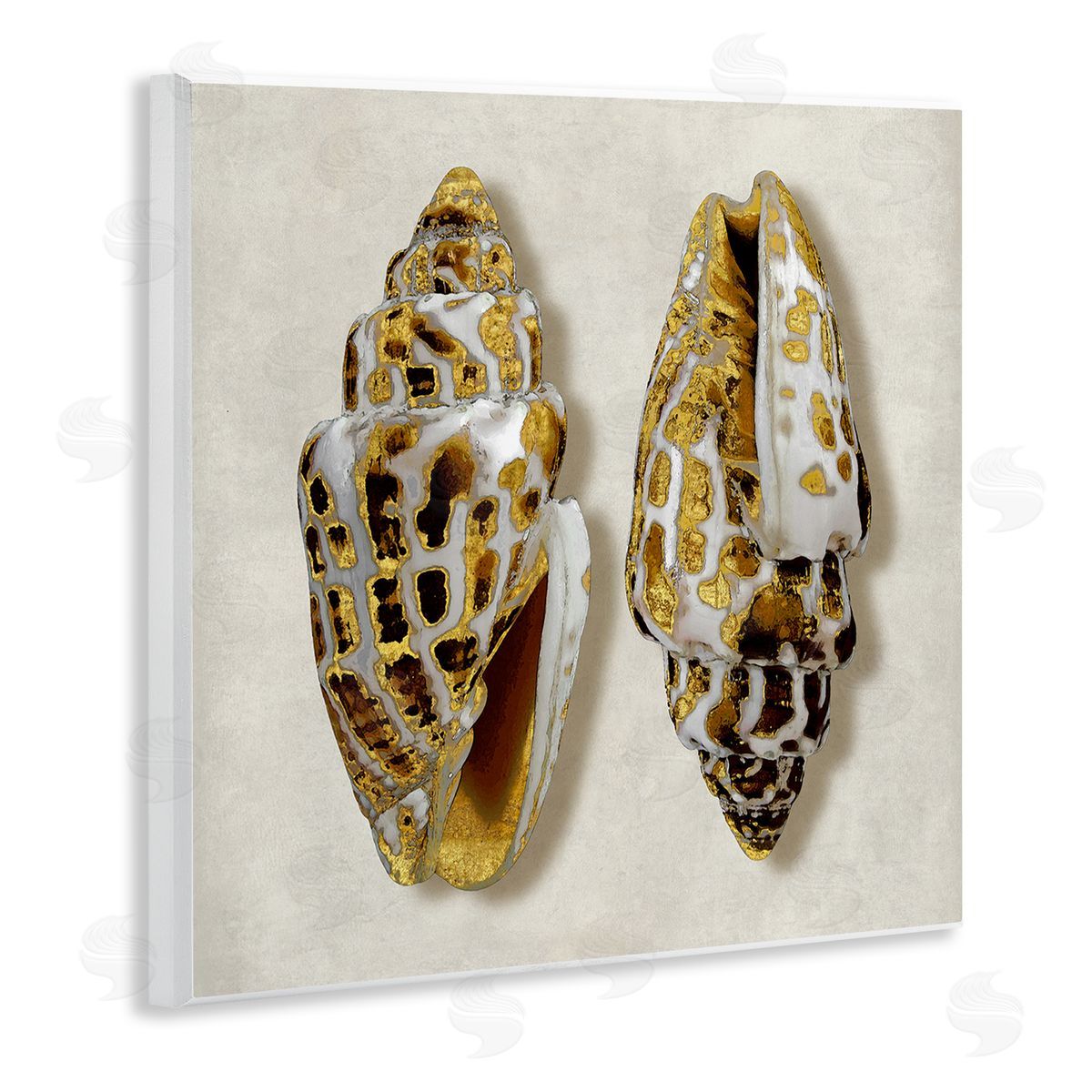 Caroline Kelly Speckled Conch Seashell Neutral Tone Sea Life Wooden Wall Plaque Art Print
