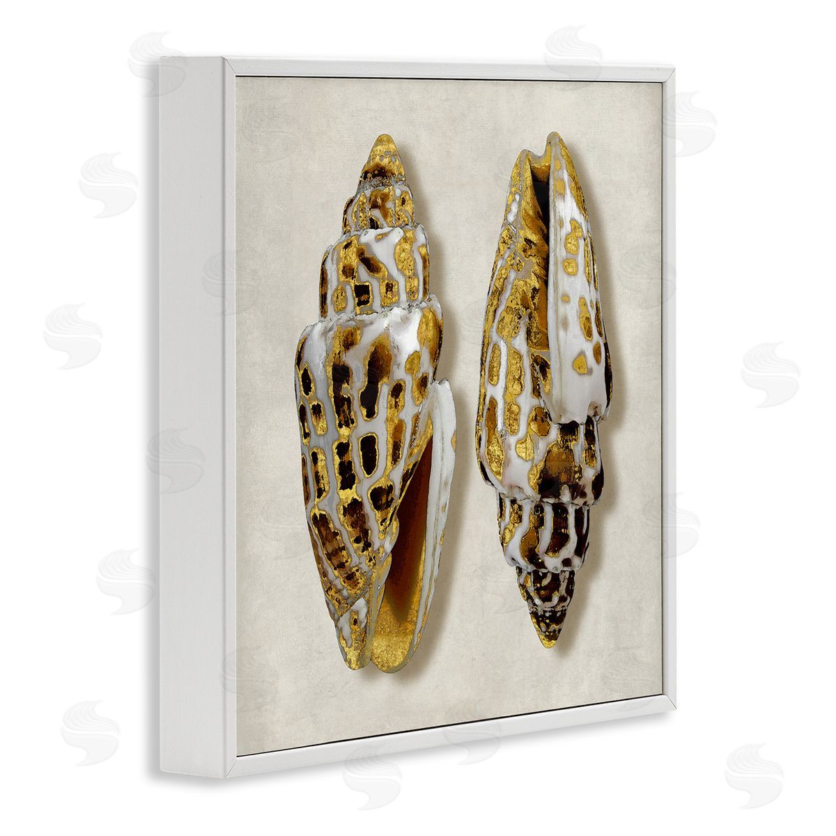 Caroline Kelly Speckled Conch Seashell Neutral Tone Sea Life White Framed Glicee Wall Art Print