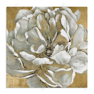 Carol Robinson | Blushing White Magnolia Flower Abstract
