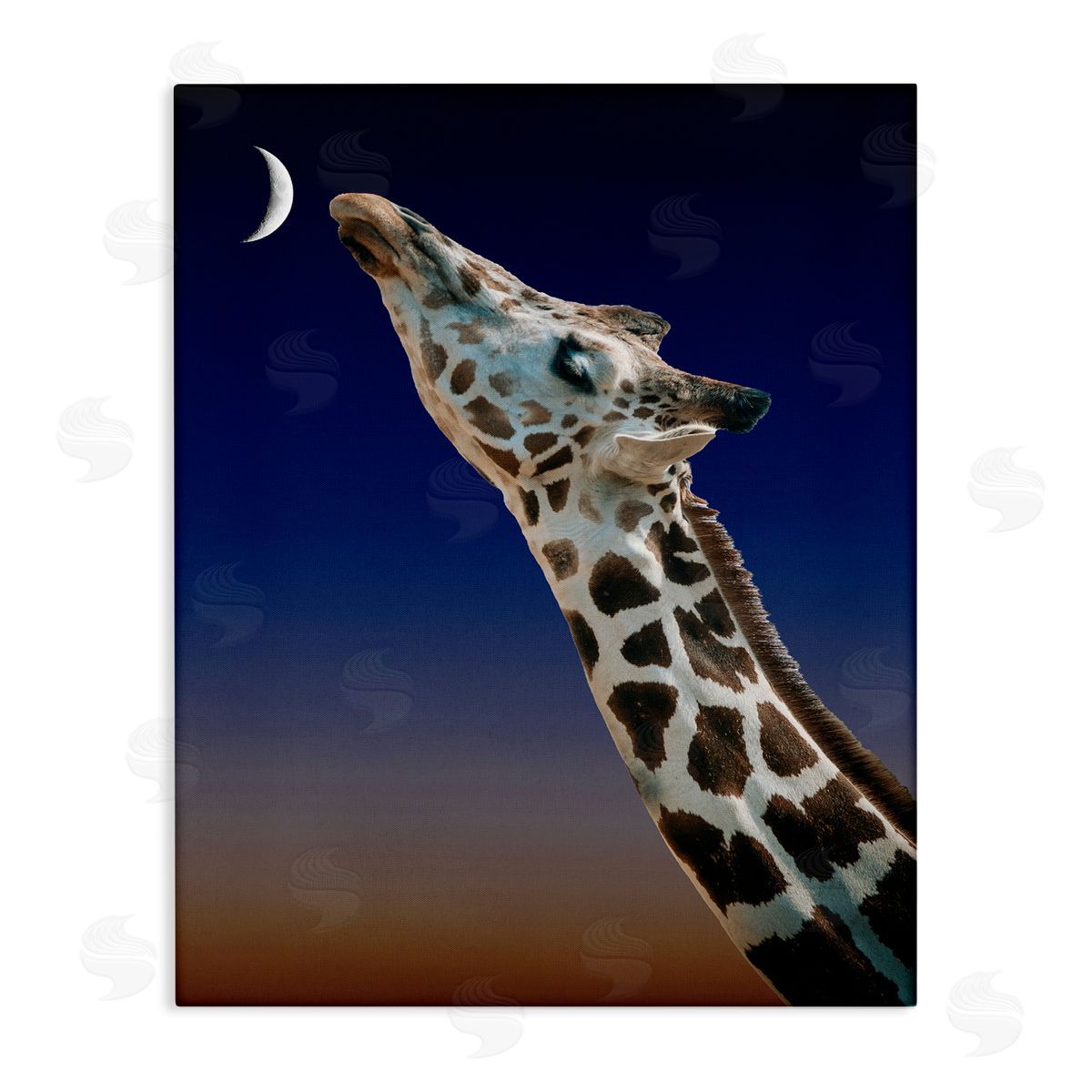 Bellassai Art Giraffe Touching the Moon Canvas Wall Art Print
