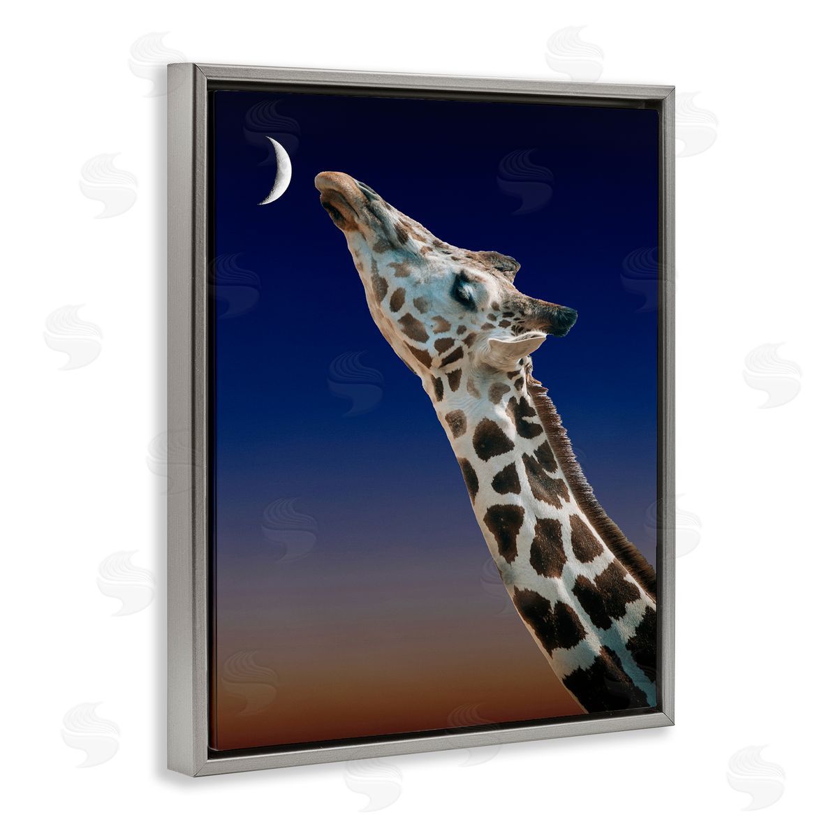 Bellassai Art Giraffe Touching the Moon Gray Floating Frame Canvas Wall Art Print
