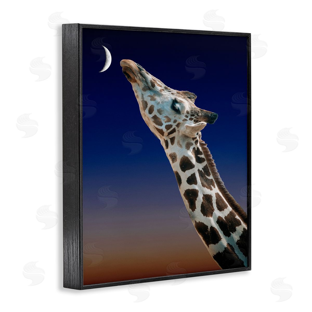 Bellassai Art Giraffe Touching the Moon Black Frame Giclee Wall Art Print