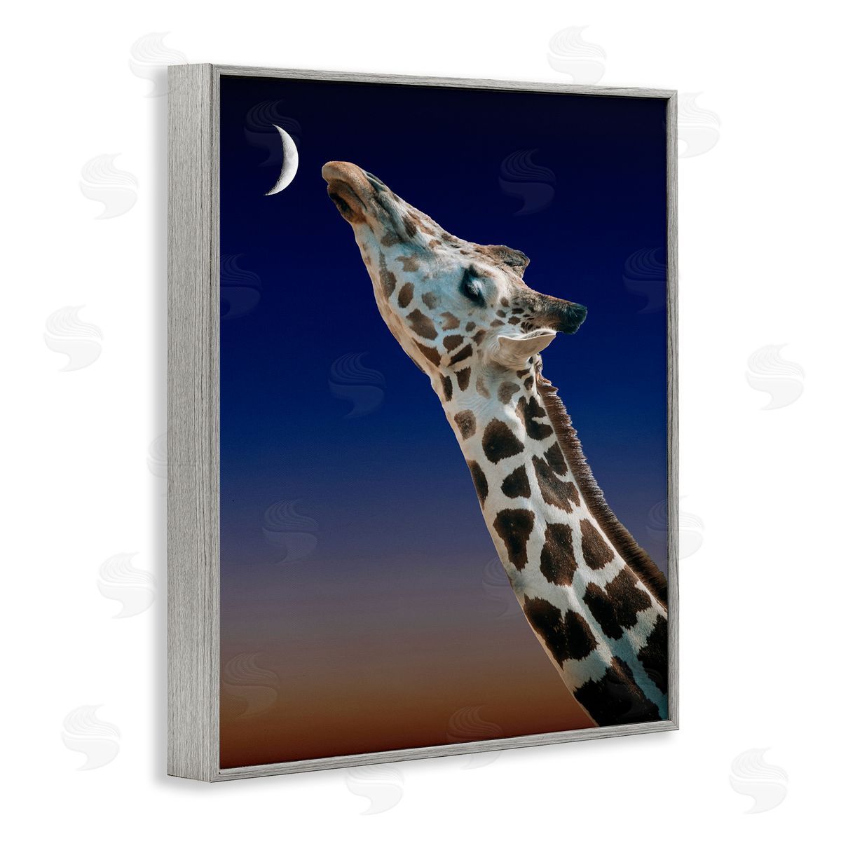 Bellassai Art Giraffe Touching the Moon Gray Frame Giclee Wall Art Print