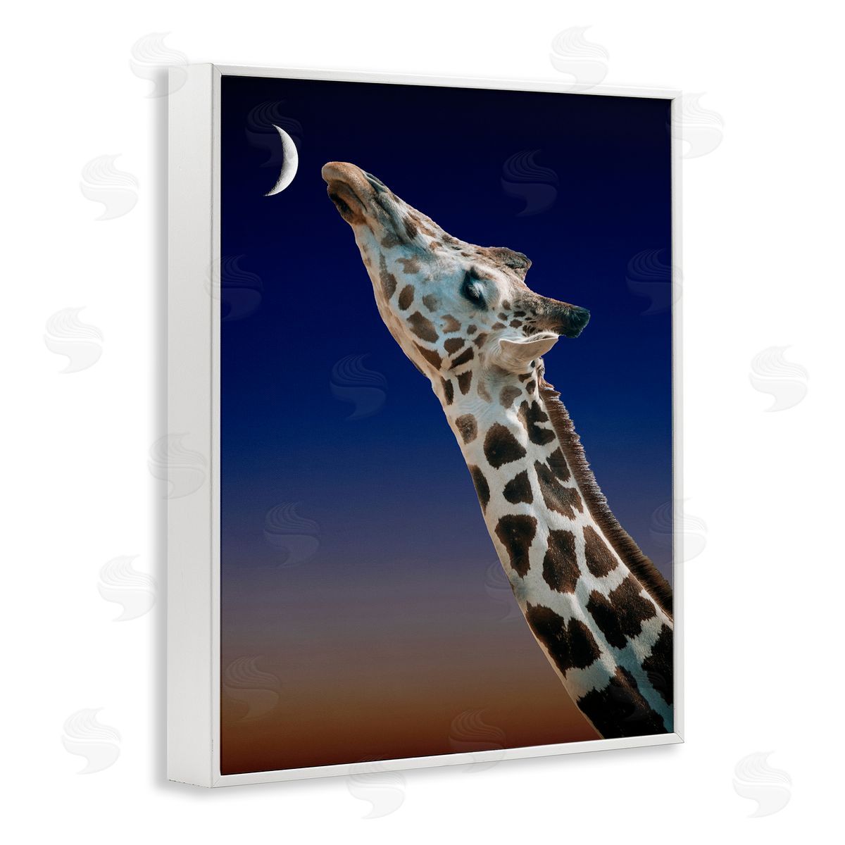 Bellassai Art Giraffe Touching the Moon White Frame Giclee Wall Art Print