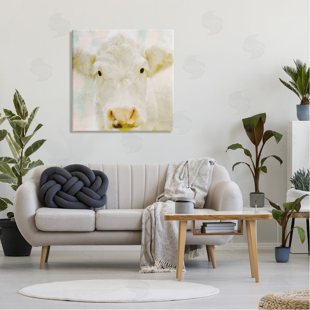 Kim Allen Soft White Cow Cattle Face Closeup Layered Background  Canvas Wall Art in Room