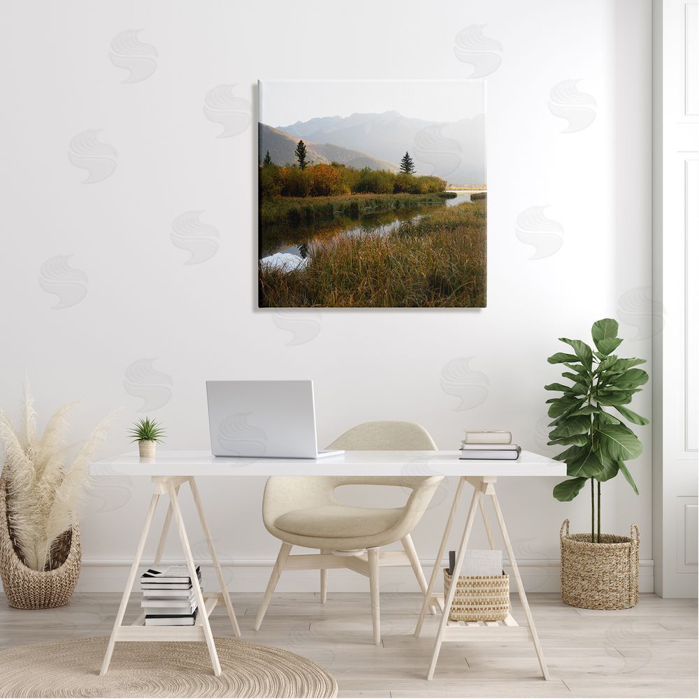 Carol Robinson Soothing Grassy Bog Stream Mountains Landscape  Canvas Wall Art in Room