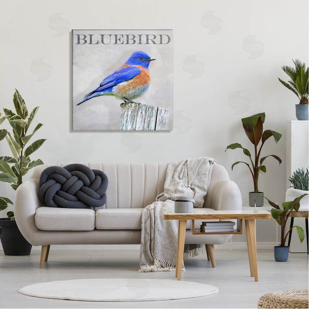 Alpenglow Workshop Vivid Bluebird Standing Birch Tree Rustic Text Canvas Wall Art in Room