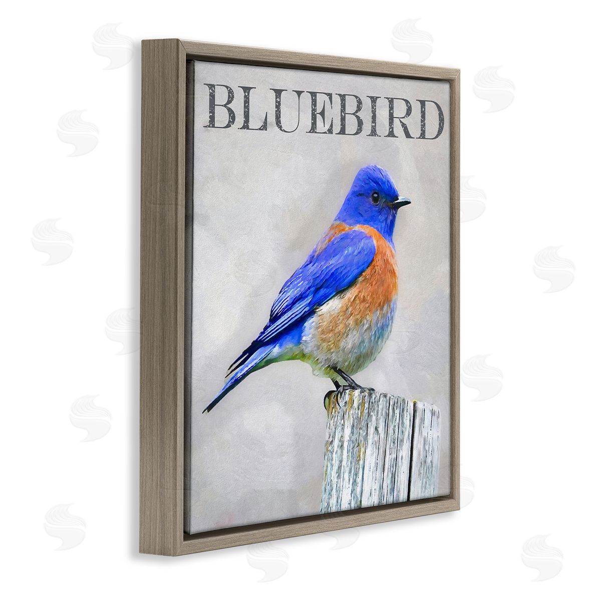 Alpenglow Workshop Vivid Bluebird Standing Birch Tree Rustic Text Brown Floating Frame Canvas Wall Art Print