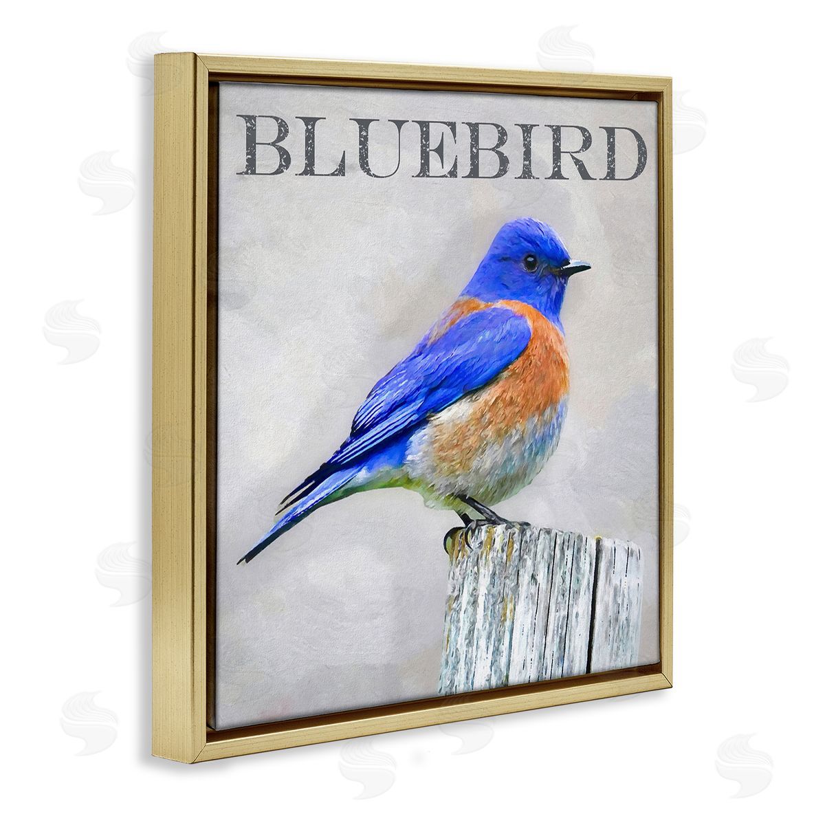 Alpenglow Workshop Vivid Bluebird Standing Birch Tree Rustic Text Gold Floating Frame Canvas Wall Art Print