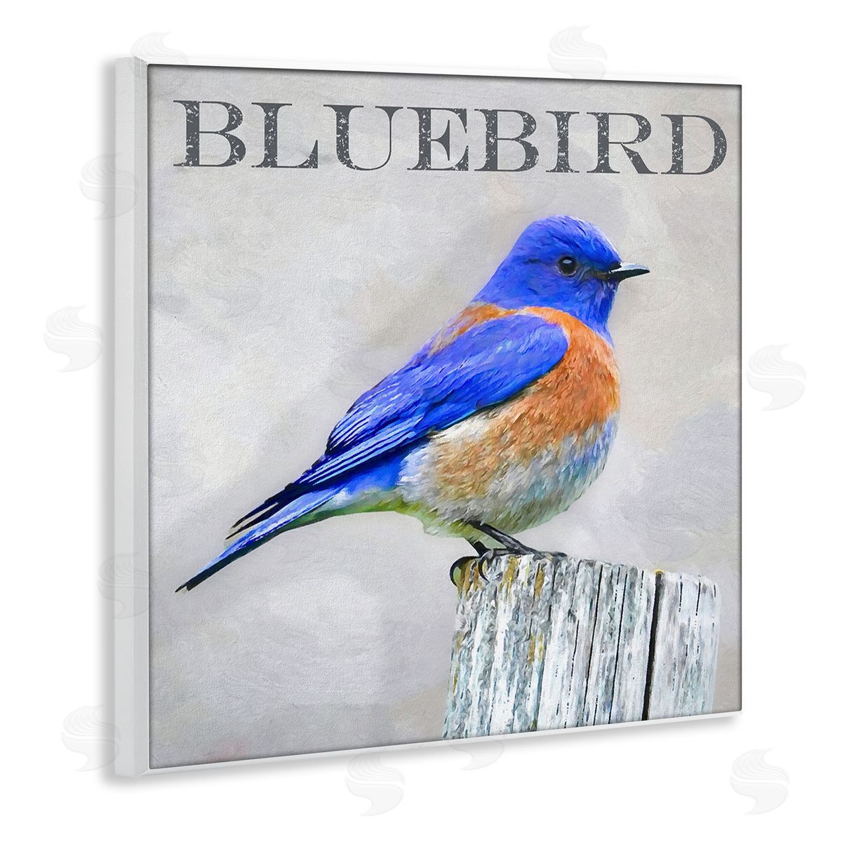 Alpenglow Workshop Vivid Bluebird Standing Birch Tree Rustic Text Wooden Wall Plaque Art Print