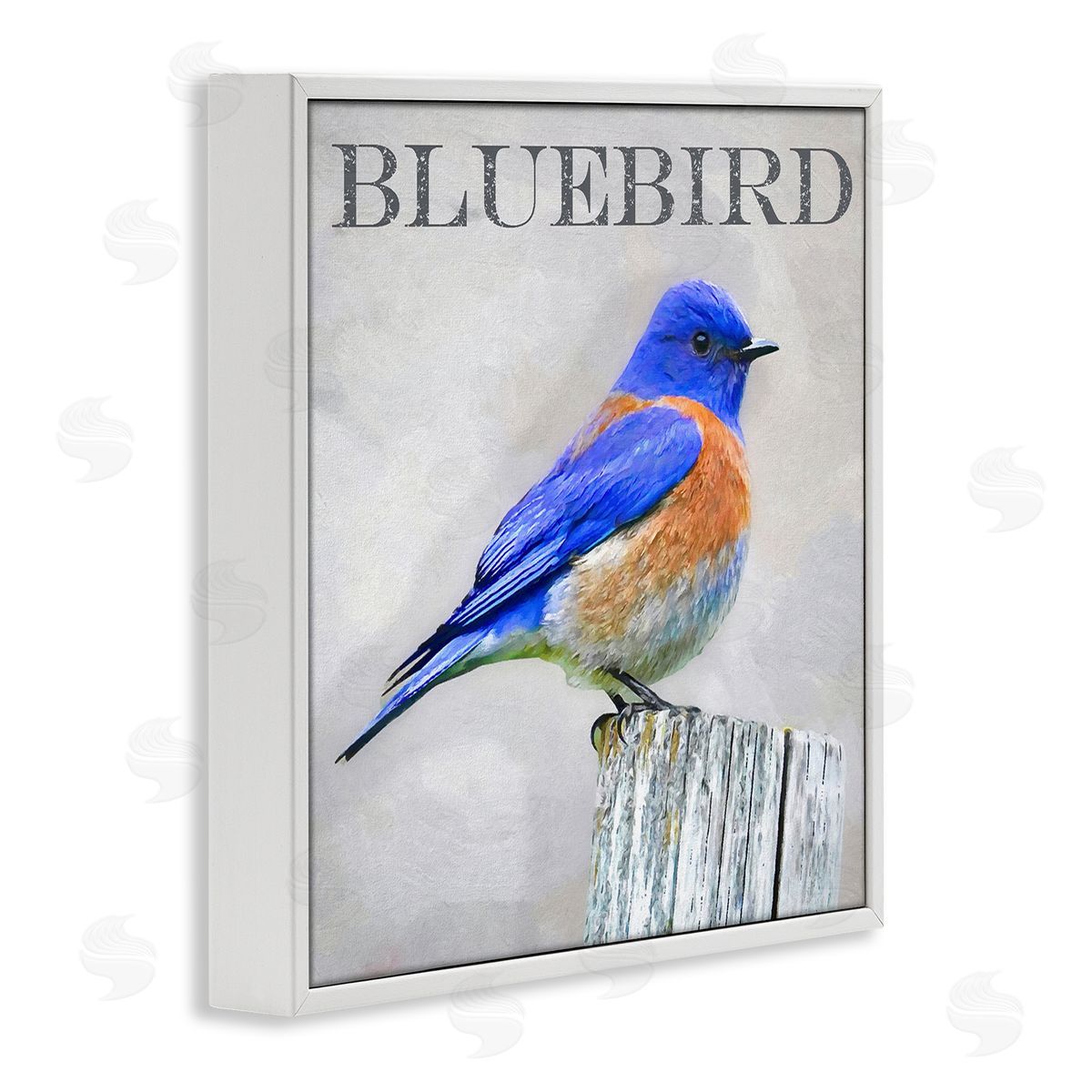 Alpenglow Workshop Vivid Bluebird Standing Birch Tree Rustic Text White Framed Glicee Wall Art Print