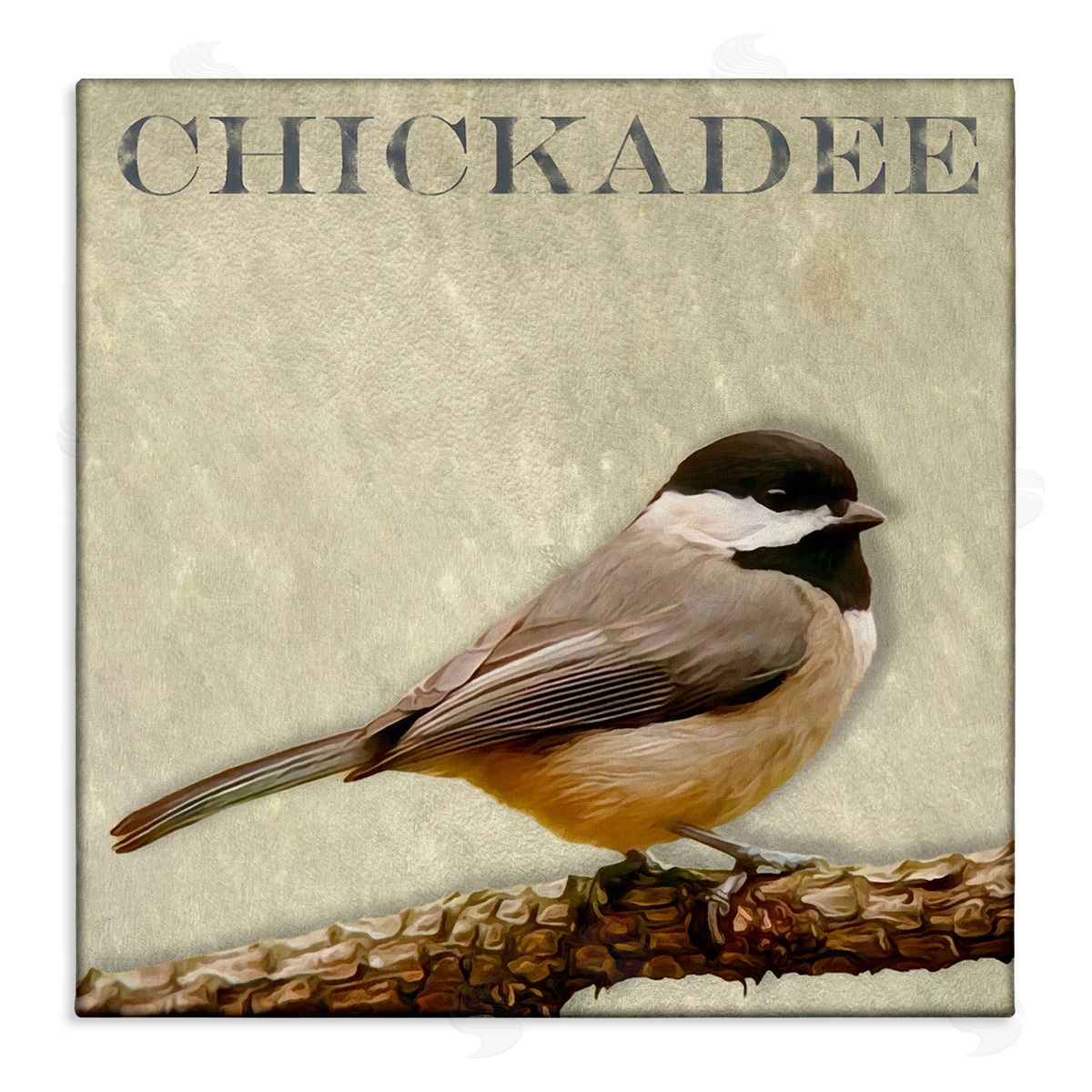 Alpenglow Workshop Chickadee Bird Tree Branch Text Illustration  Stretched Canvas Wall Art Print