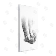Ziwei Li | Fluffy Cat Paws & Tail