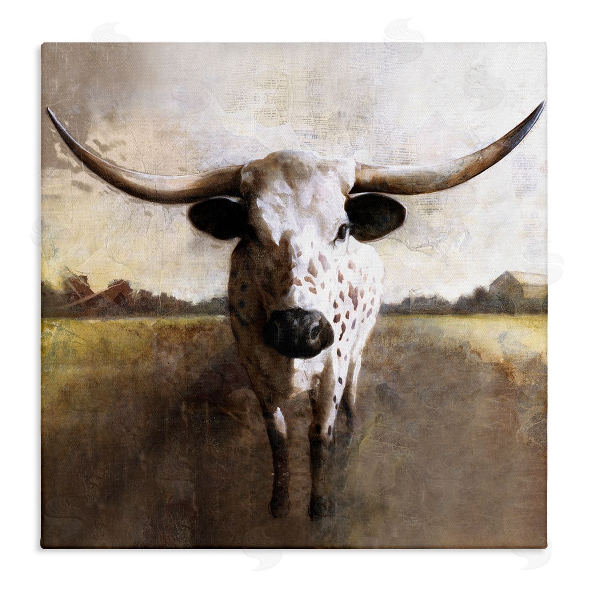 White Ladder Striking Longhorn Cattle Warm Sunlight Farmland Grass Stretched Canvas Wall Art Print