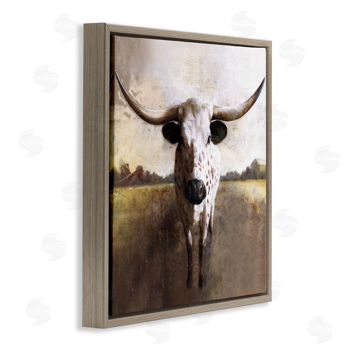 White Ladder Striking Longhorn Cattle Warm Sunlight Farmland Grass Brown Floating Frame Canvas Wall Art Print