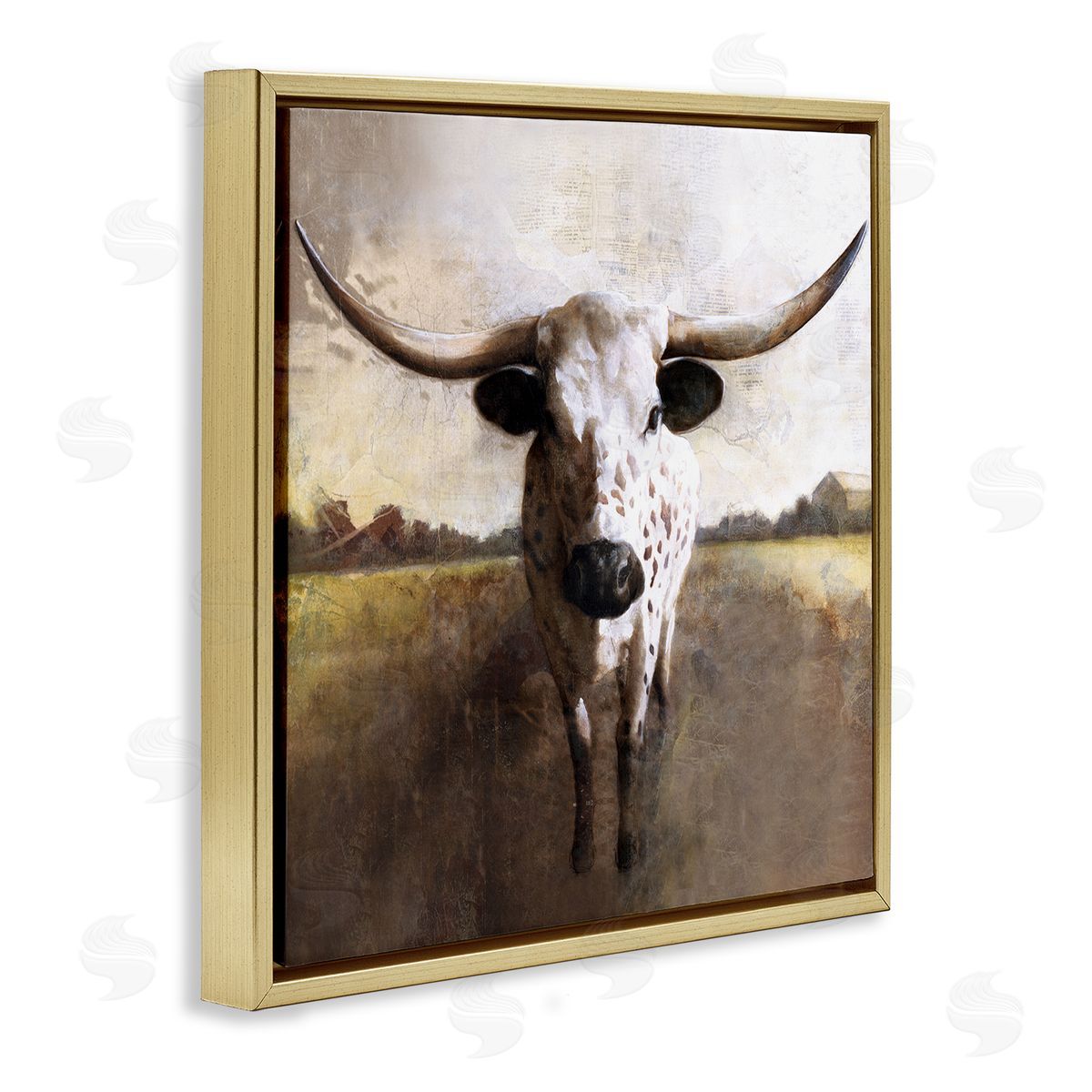 White Ladder Striking Longhorn Cattle Warm Sunlight Farmland Grass Gold Floating Frame Canvas Wall Art Print