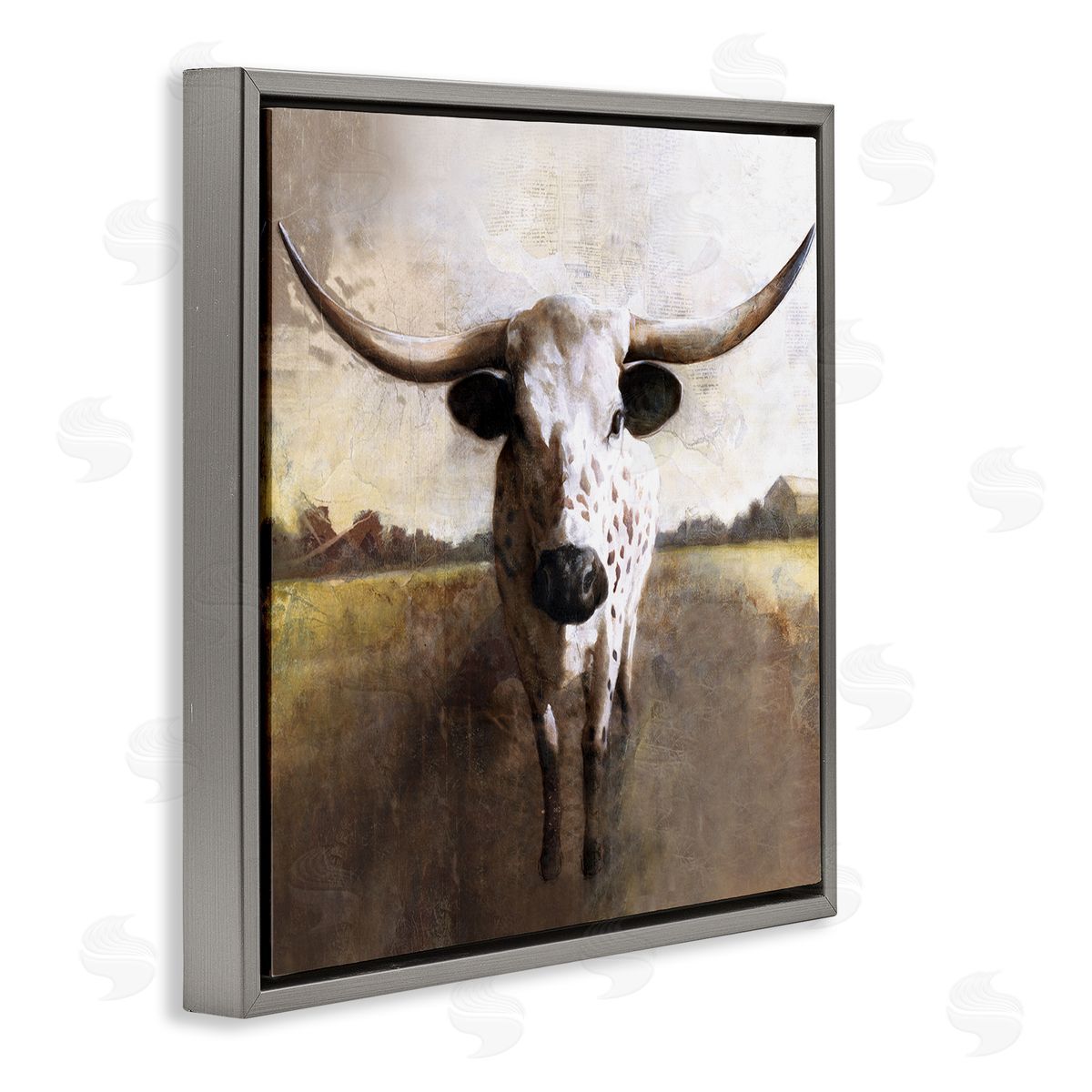 White Ladder Striking Longhorn Cattle Warm Sunlight Farmland Grass Gray Floating Frame Canvas Wall Art Print