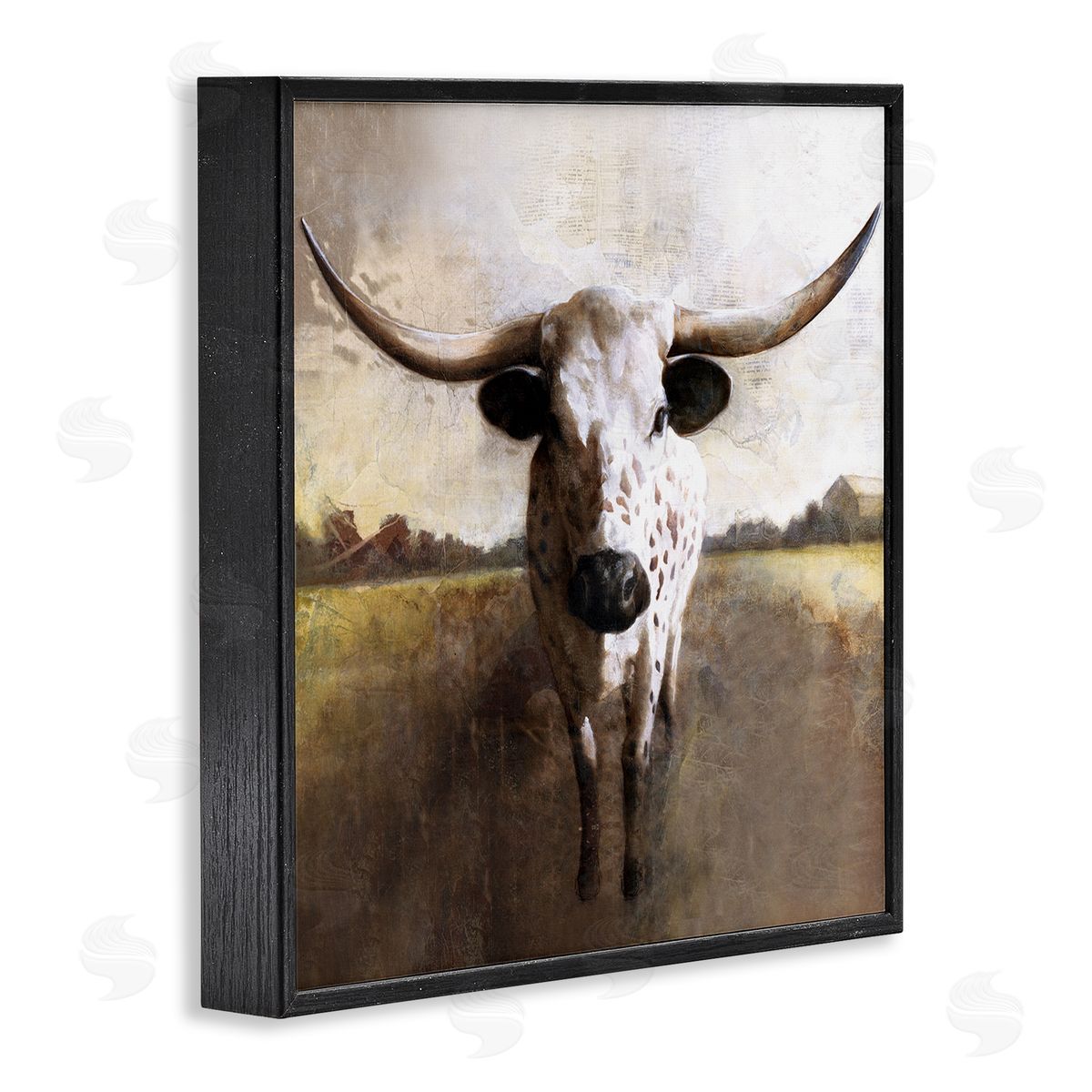White Ladder Striking Longhorn Cattle Warm Sunlight Farmland Grass Black Framed Glicee Wall Art Print