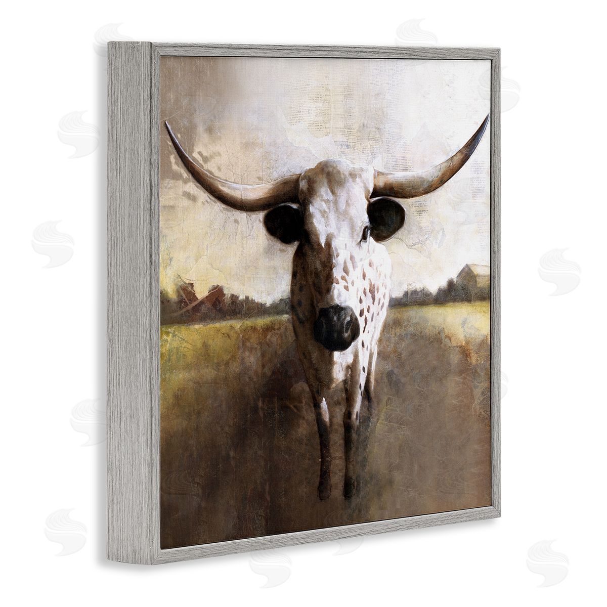 White Ladder Striking Longhorn Cattle Warm Sunlight Farmland Grass Gray Framed Glicee Wall Art Print