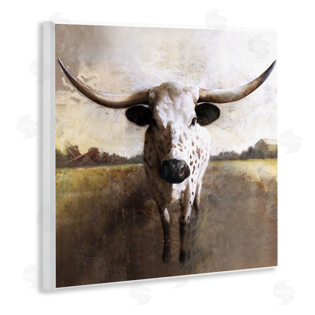 White Ladder Striking Longhorn Cattle Warm Sunlight Farmland Grass Wooden Wall Plaque Art Print