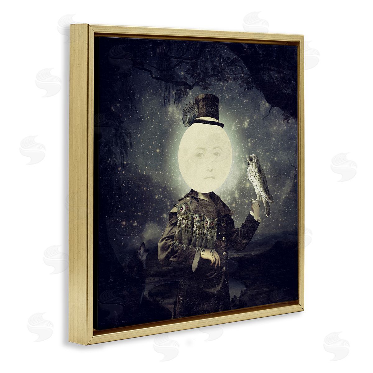 Paula Belle Flores Starry Night Sky Moon Person Bird Botanical Border  Gold Floating Frame Canvas Wall Art Print