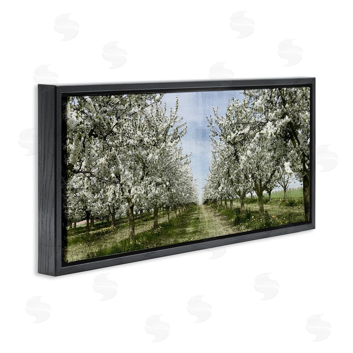 Blooming White Tree Orchard Black Floating Frame Canvas Wall Art, Home Decor by Kim Allen