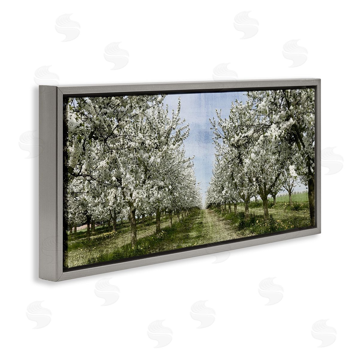 Blooming White Tree Orchard Grey Floating Frame Canvas Wall Art, Home Decor by Kim Allen