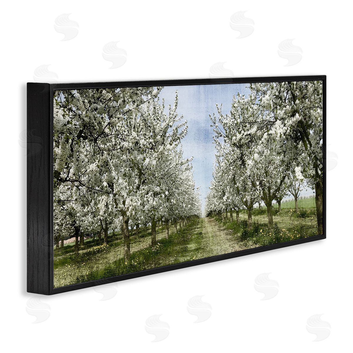 Blooming White Tree Orchard Black Frame Print Wall Art, Home Decor by Kim Allen
